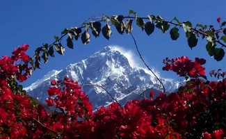 Screenshot_2024-01-15-05-13-42-80_21da60175e70af211acc4f26191b7a77.webp Screenshot_2024-01-15-05-13-42-80_21da60175e70af211acc4f26191b7a77.webp