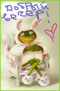 IMG_20240116_191135.webp IMG_20240116_191135.webp