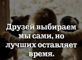 IMG_20240116_195521.webp IMG_20240116_195521.webp