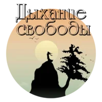 Без имени-2.webp