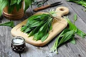 Без названия (1).webp