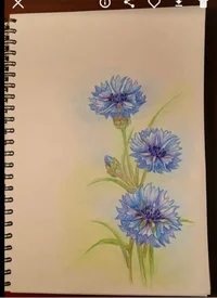 Хтонь Лесная 2.webp