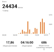 Screenshot_20240212_232236_Zepp Life.webp