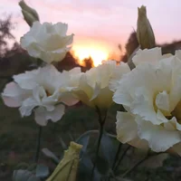 IMG_20220905_185557.jpg IMG_20220905_185557.jpg