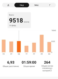 Screenshot_20240218_181332_Zepp Life.webp