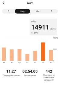 Screenshot_20240218_181338_Zepp Life.webp