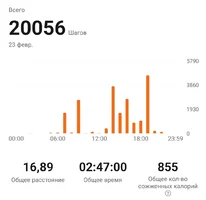 Screenshot_20240223_214505_Zepp Life.webp