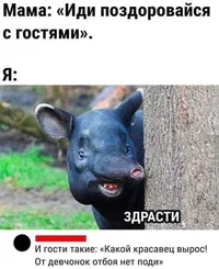 FB_IMG_1708533917119.jpg FB_IMG_1708533917119.jpg