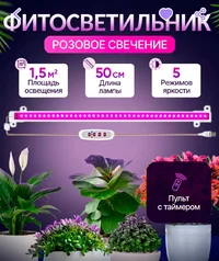 Screenshot_20240229_103010_com.wildberries.ru_edit_462163599421666.webp