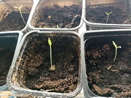 IMG_20240303_120034.webp IMG_20240303_120034.webp