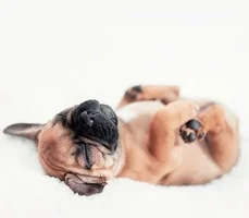 C__Data_Users_DefApps_AppData_INTERNETEXPLORER_Temp_Saved Images_afX7wxmu_RU.webp