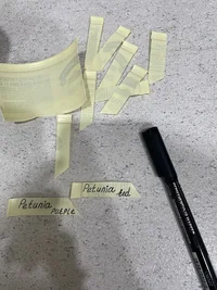 IMG_9453.webp IMG_9453.webp