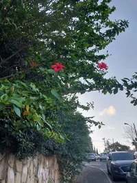 20240307_170255.webp 20240307_170255.webp