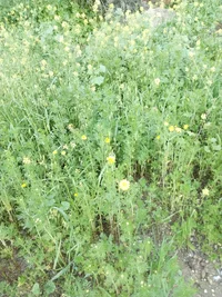 20240307_170350.webp 20240307_170350.webp