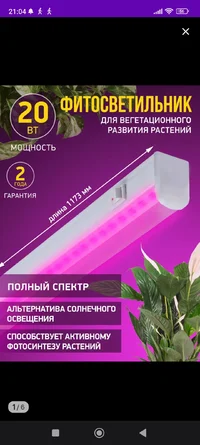 Screenshot_2024-03-09-21-04-48-224_com.wildberries.ru.webp