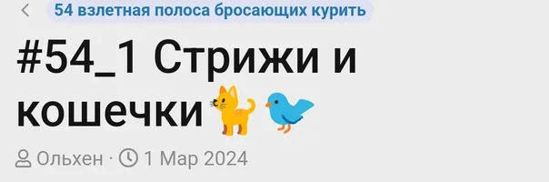 Screenshot_20240313-194550.webp Screenshot_20240313-194550.webp