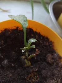 IMG_20240316_173738.webp IMG_20240316_173738.webp