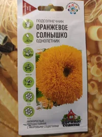 IMG_20240316_173839.webp IMG_20240316_173839.webp