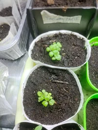 IMG_20240316_202605.webp IMG_20240316_202605.webp