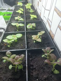 IMG_20240316_202615.webp IMG_20240316_202615.webp