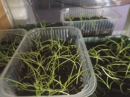 IMG_20240316_202452.webp IMG_20240316_202452.webp