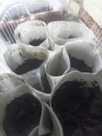 IMG_20240316_211339.webp IMG_20240316_211339.webp