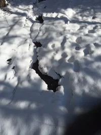 IMG_20240318_151832.jpg IMG_20240318_151832.jpg