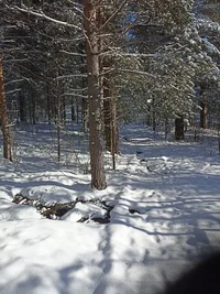 IMG_20240318_151814.jpg IMG_20240318_151814.jpg