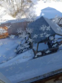 IMG_20240319_105004.webp IMG_20240319_105004.webp