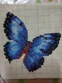 IMG_20240320_073011.webp IMG_20240320_073011.webp