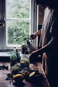 IMG_20240325_172707_741.jpg IMG_20240325_172707_741.jpg