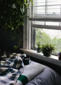 IMG_20240325_172707_772.jpg IMG_20240325_172707_772.jpg