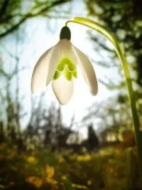 IMG_20240325_172654_606.jpg IMG_20240325_172654_606.jpg