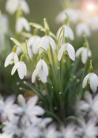 IMG_20240325_172655_349.jpg IMG_20240325_172655_349.jpg