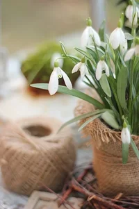 IMG_20240325_172654_602.jpg IMG_20240325_172654_602.jpg