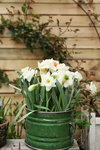 IMG_20240325_172655_370.webp IMG_20240325_172655_370.webp