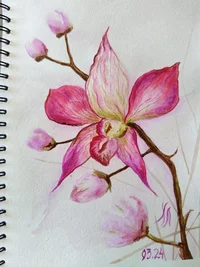 Хтонь Лесная.webp