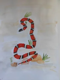 Настя Корс.webp