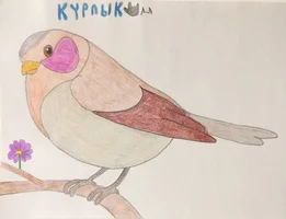 Pa$hok - Международный день птиц.webp