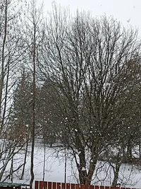 IMG_20240330_105850.webp IMG_20240330_105850.webp