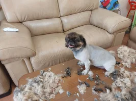 20230525_091844.webp 20230525_091844.webp