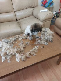 20230525_100439.webp 20230525_100439.webp