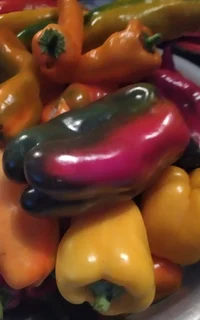 IMG_20240402_121749.webp IMG_20240402_121749.webp