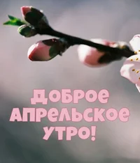 1712553937837.webp