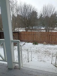 IMG_20240417_091209.jpg IMG_20240417_091209.jpg