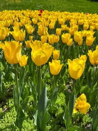 photo_2024-04-21_15-50-47.jpg photo_2024-04-21_15-50-47.jpg