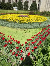 photo_2024-04-21_15-50-51.jpg photo_2024-04-21_15-50-51.jpg