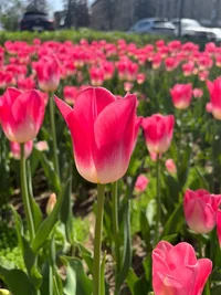 photo_2024-04-21_15-50-53.jpg photo_2024-04-21_15-50-53.jpg