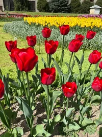 photo_2024-04-21_19-40-57.jpg photo_2024-04-21_19-40-57.jpg