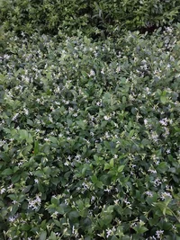 20240425_060432.webp 20240425_060432.webp